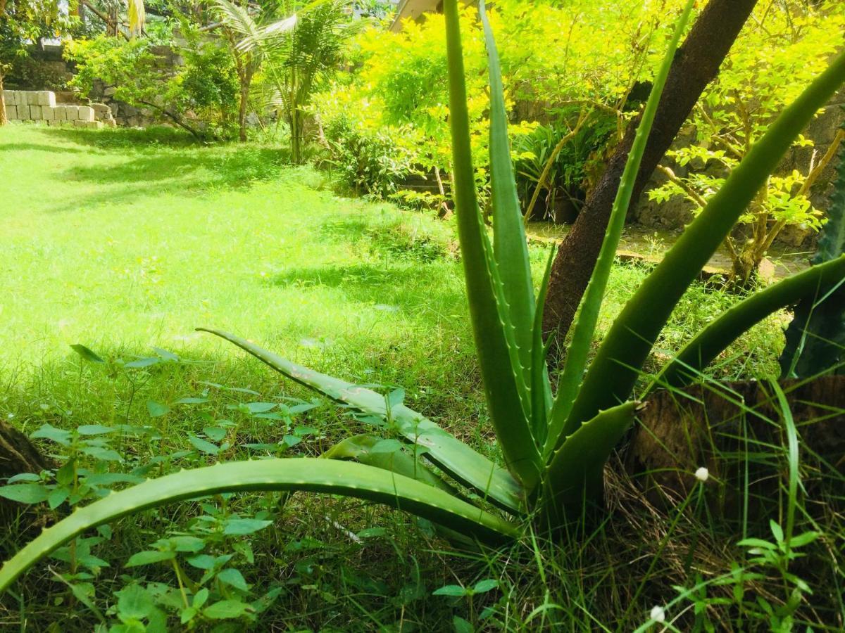 Ganesh House Ayurveda Homestay Kovalam Eksteriør bilde